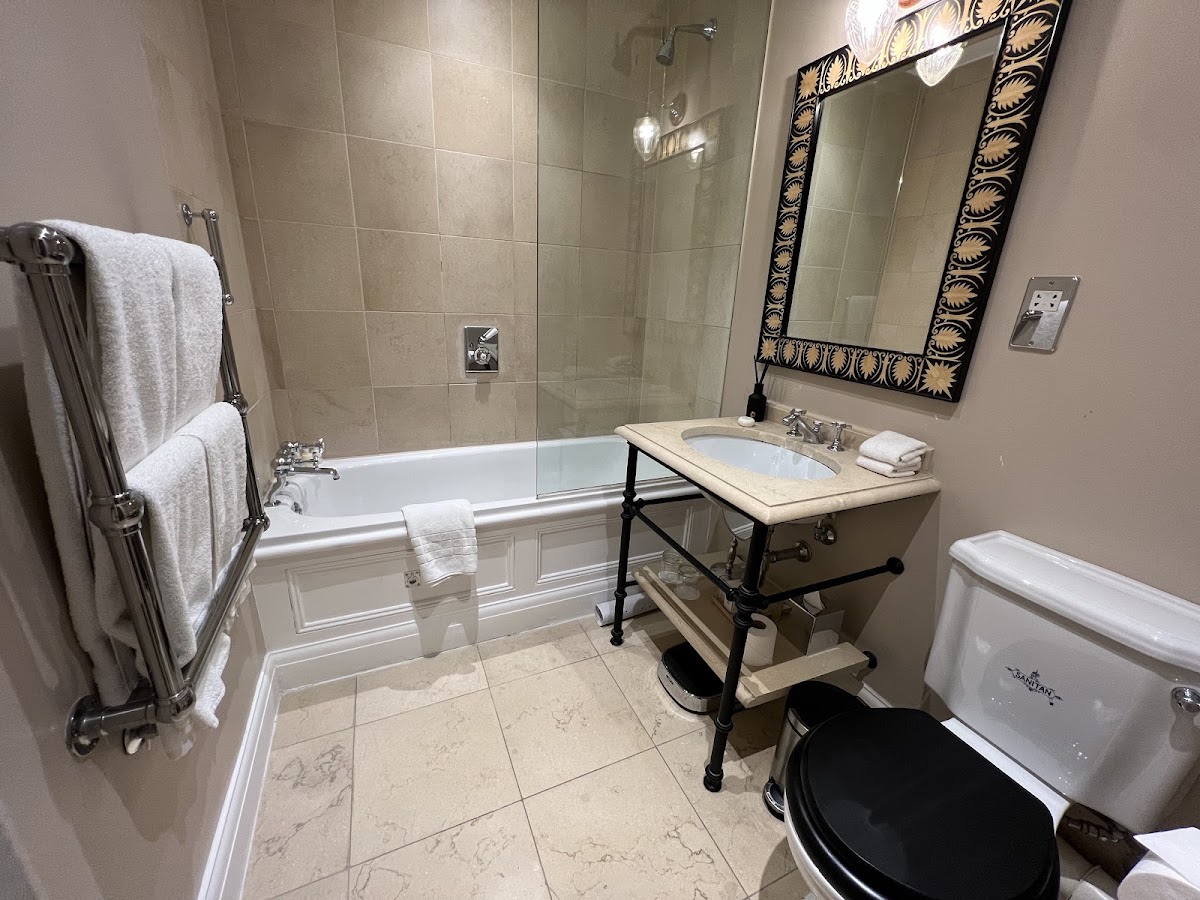 Roseate House London, dog-friendly hotel, photo 2