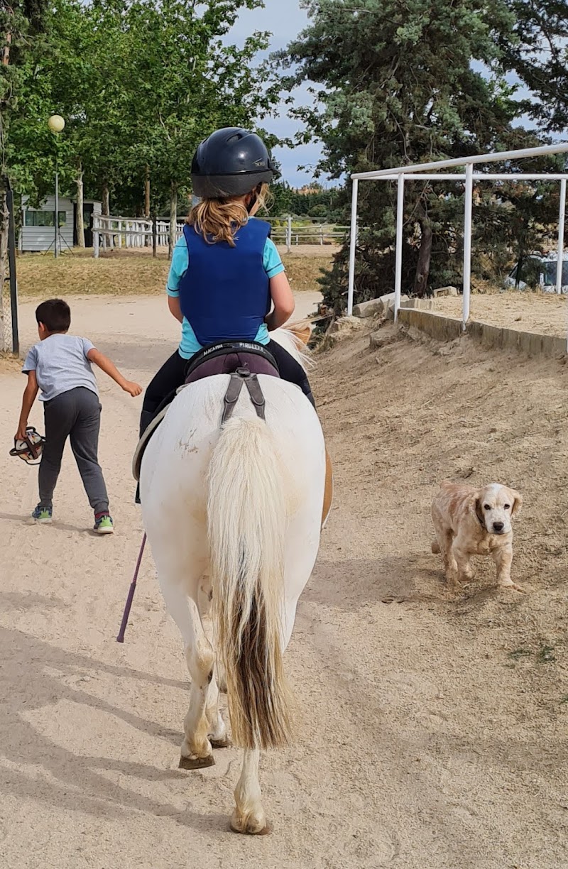 Hípica la Plaza Forum