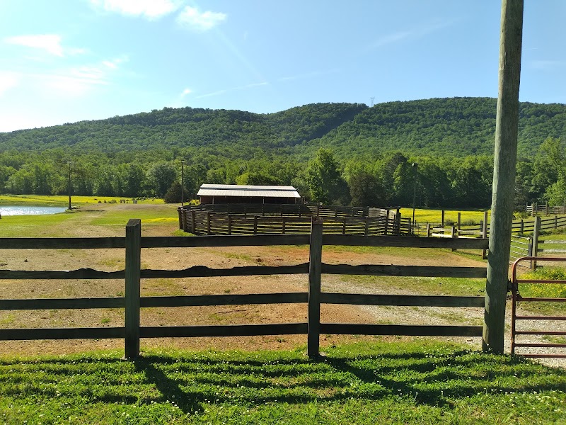 Hidden Creek Ranch - Photo 2