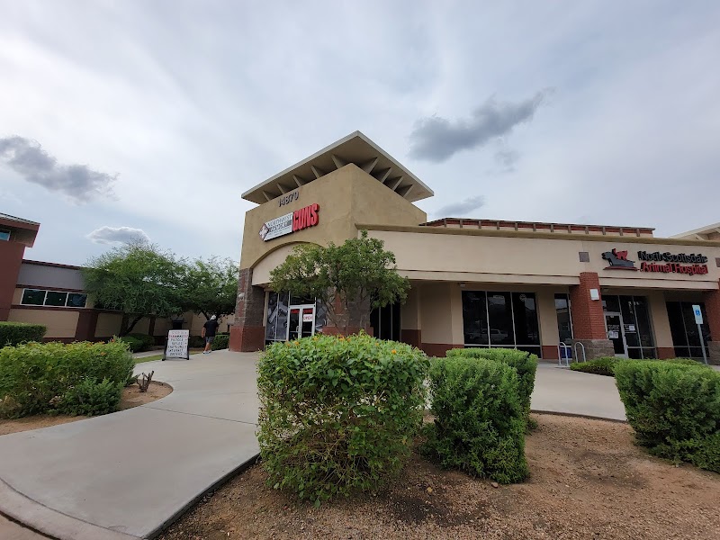 Northwest Armory scottsdale/nw Armory photo