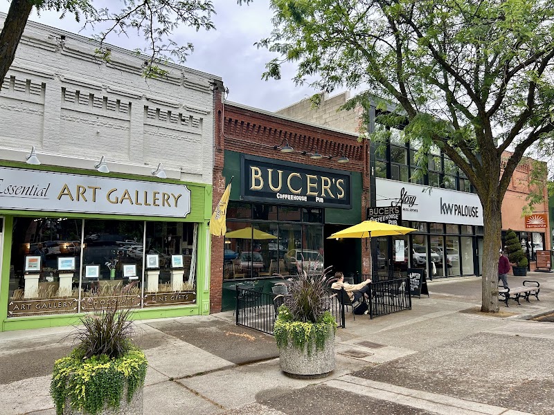 Bucer's Coffee House Pub photo 3