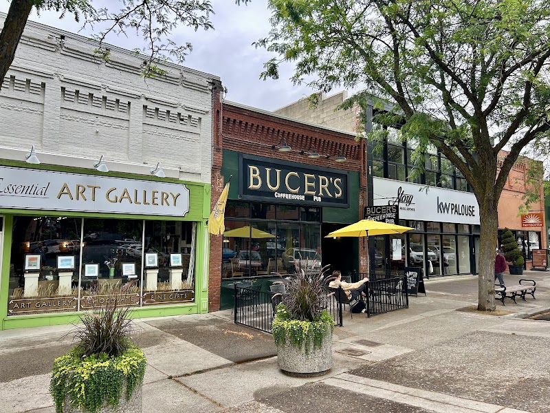 Bucer's Coffee House Pub photo 3