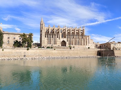 Catedral-Basílica de Santa María de Mallorca