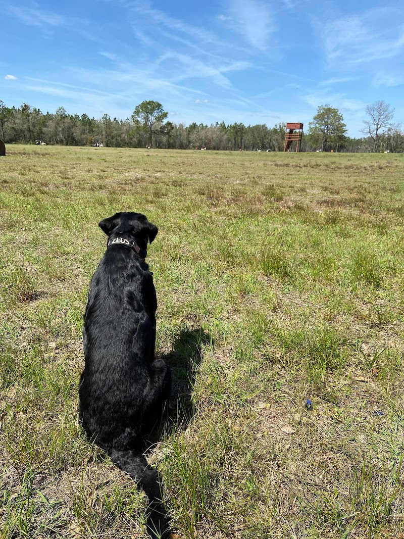 Roberts Ranch Outfitters - Photo 3