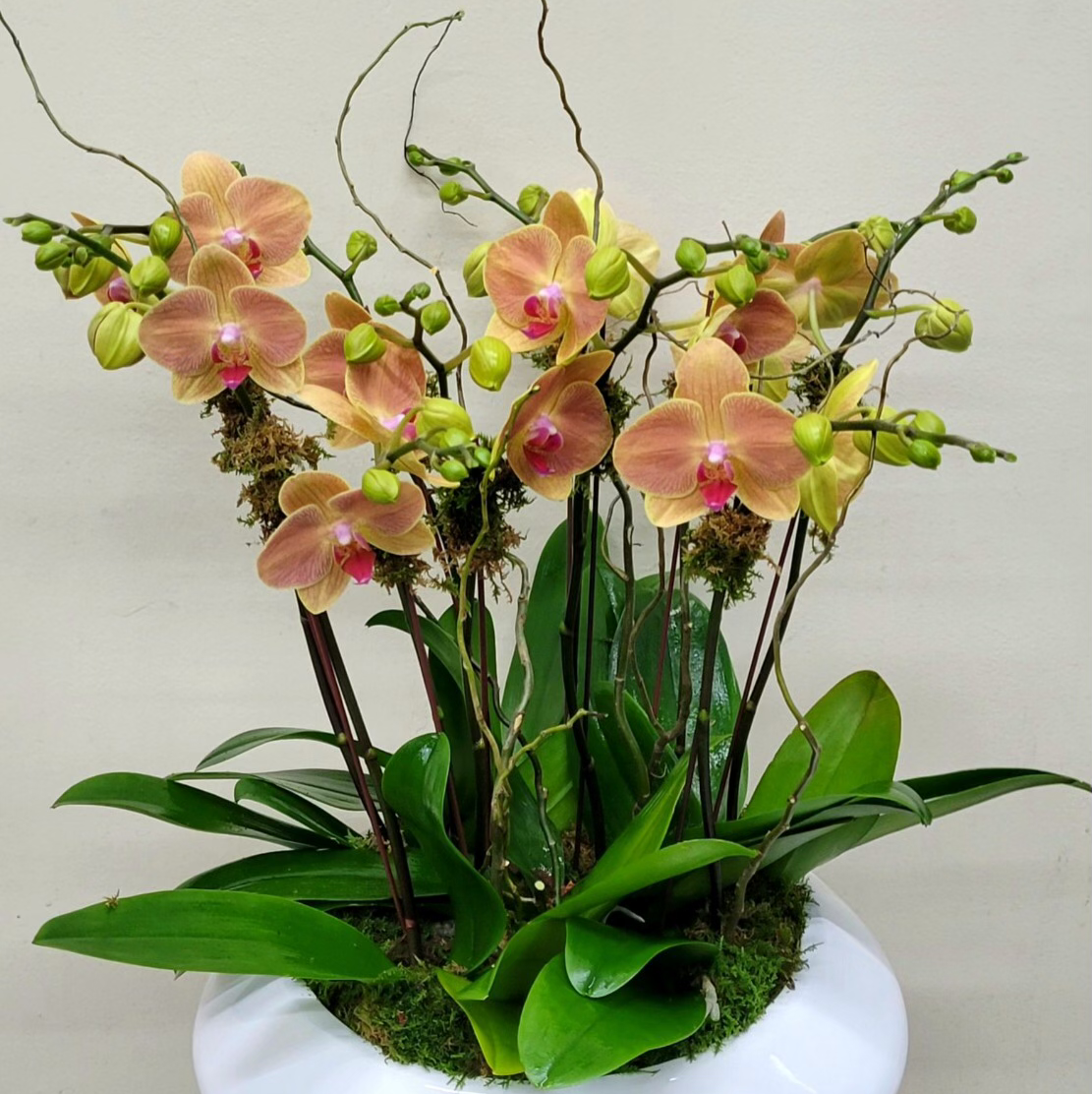 Columbia Midtown Florist: Google Places image 4