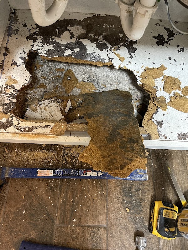 Best Mold Testing & Restoration Services, LLC — photo