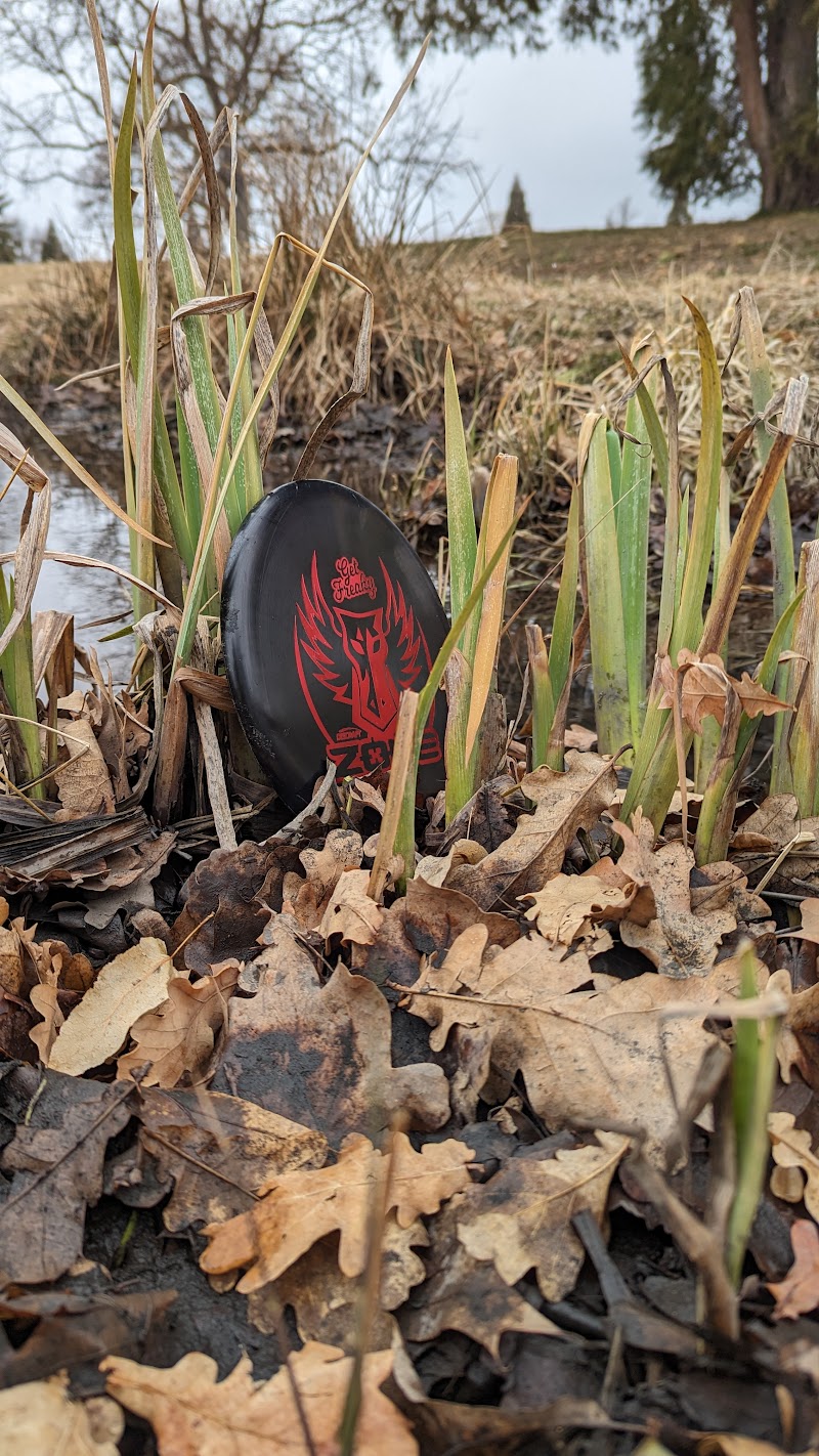 Ann Morrison Park Disc Golf Course photo 5