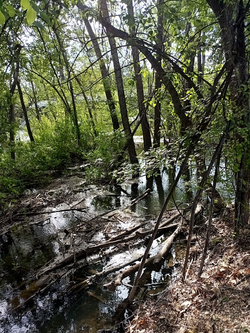 Ann Morrison Park Disc Golf Course photo 4
