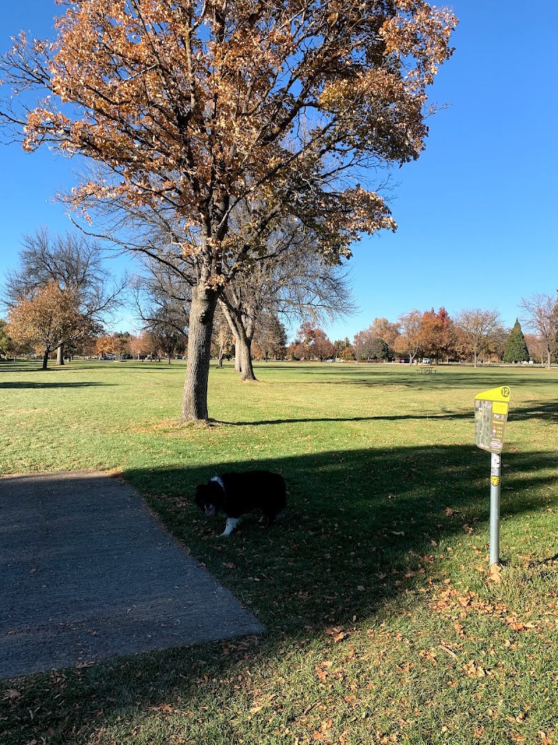 Ann Morrison Park Disc Golf Course photo 1