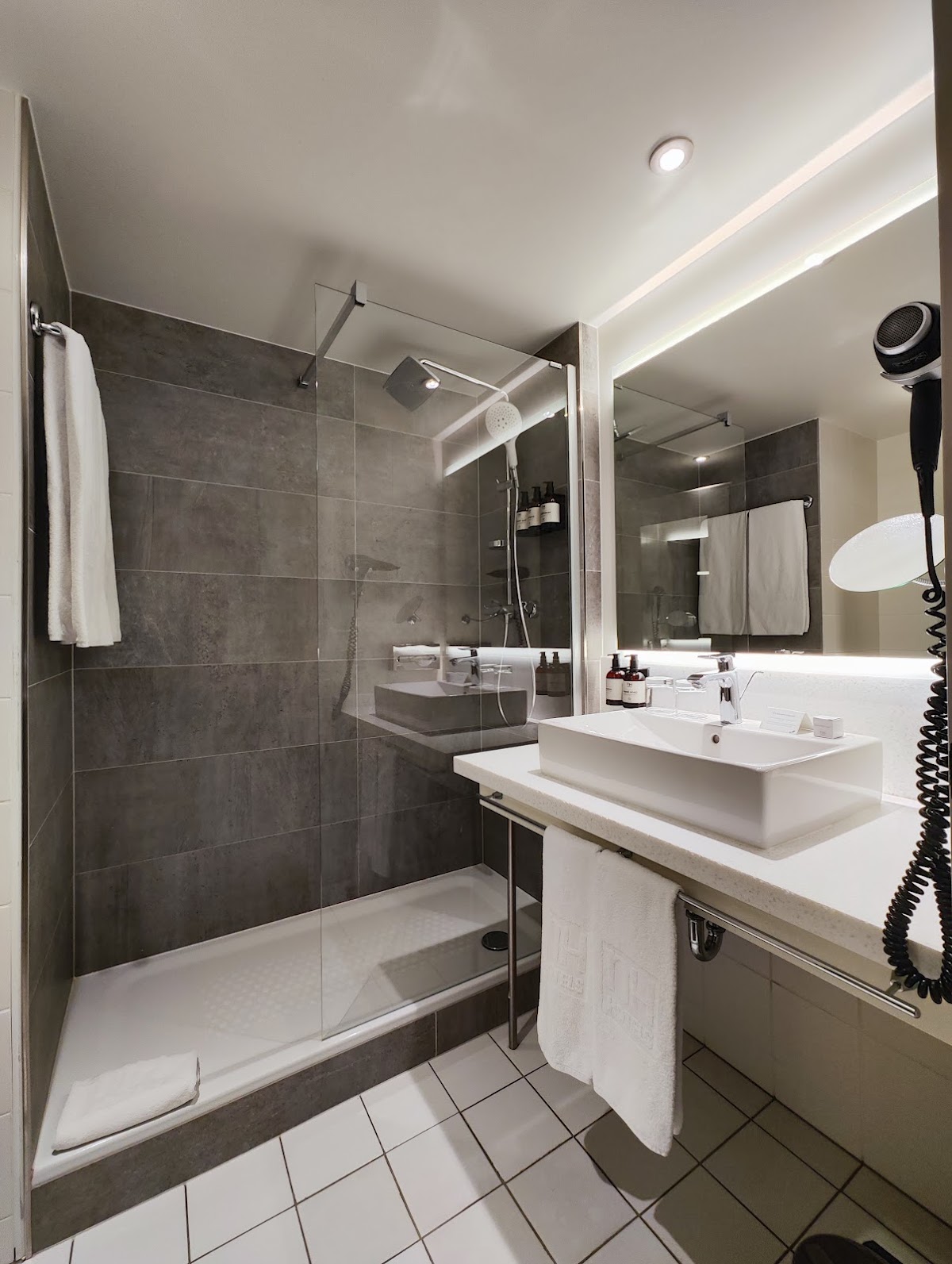 NH Hamburg Altona, dog-friendly hotel, photo 2