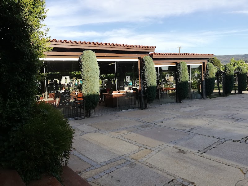 Bodegas Lagar De Pintos S.L. photo 5