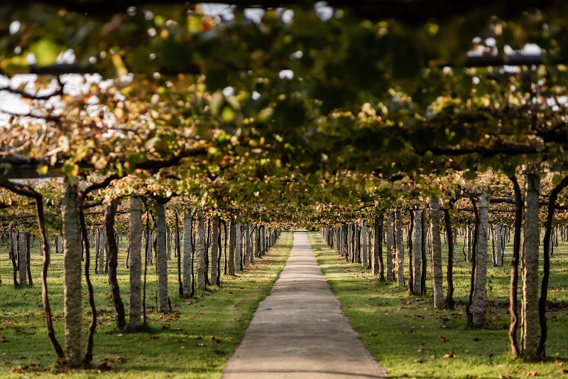 Bodegas Lagar De Pintos S.L. photo 1