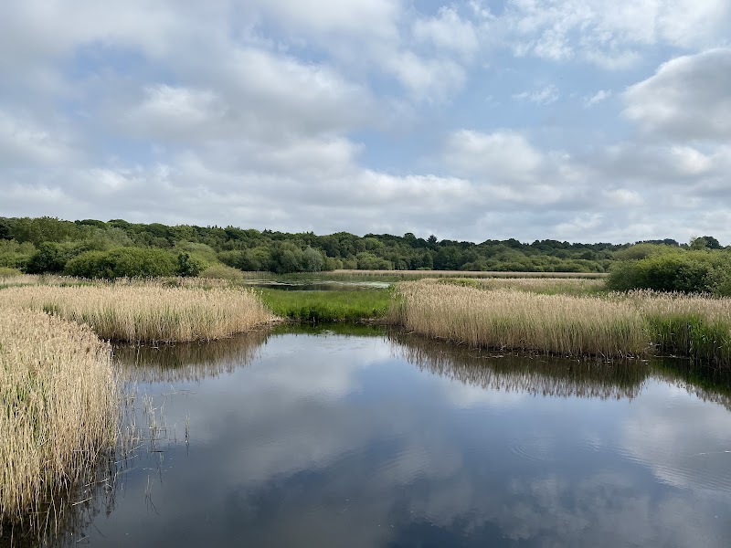 Gosforth Park Nature Reserve