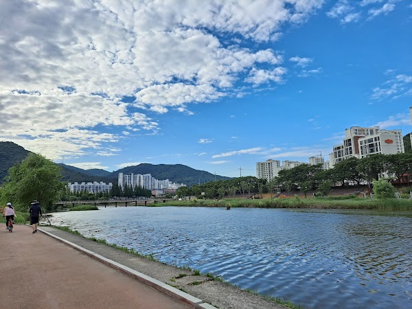 Cherry Blossom 🌸 29