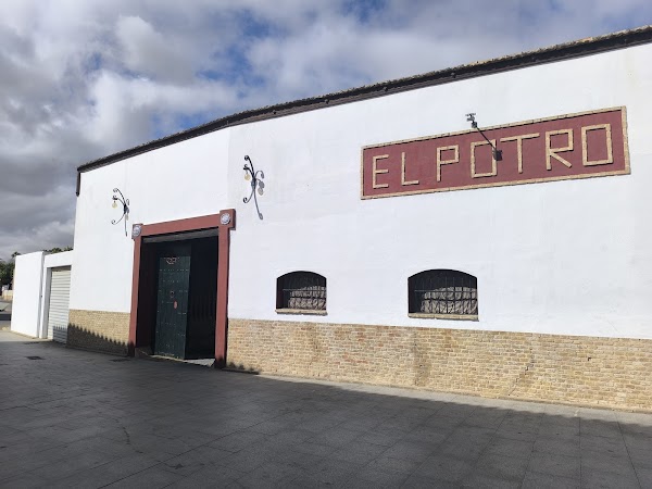 El Potro