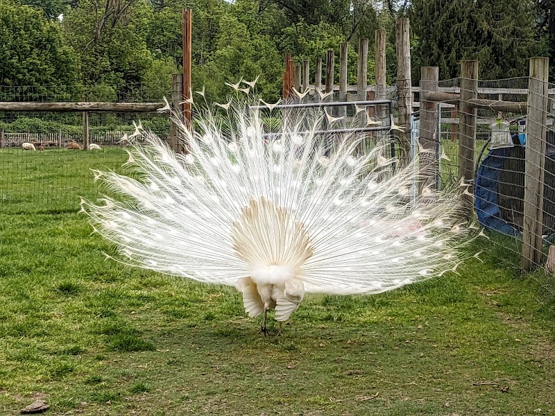 Triskelee Farm - Photo 3