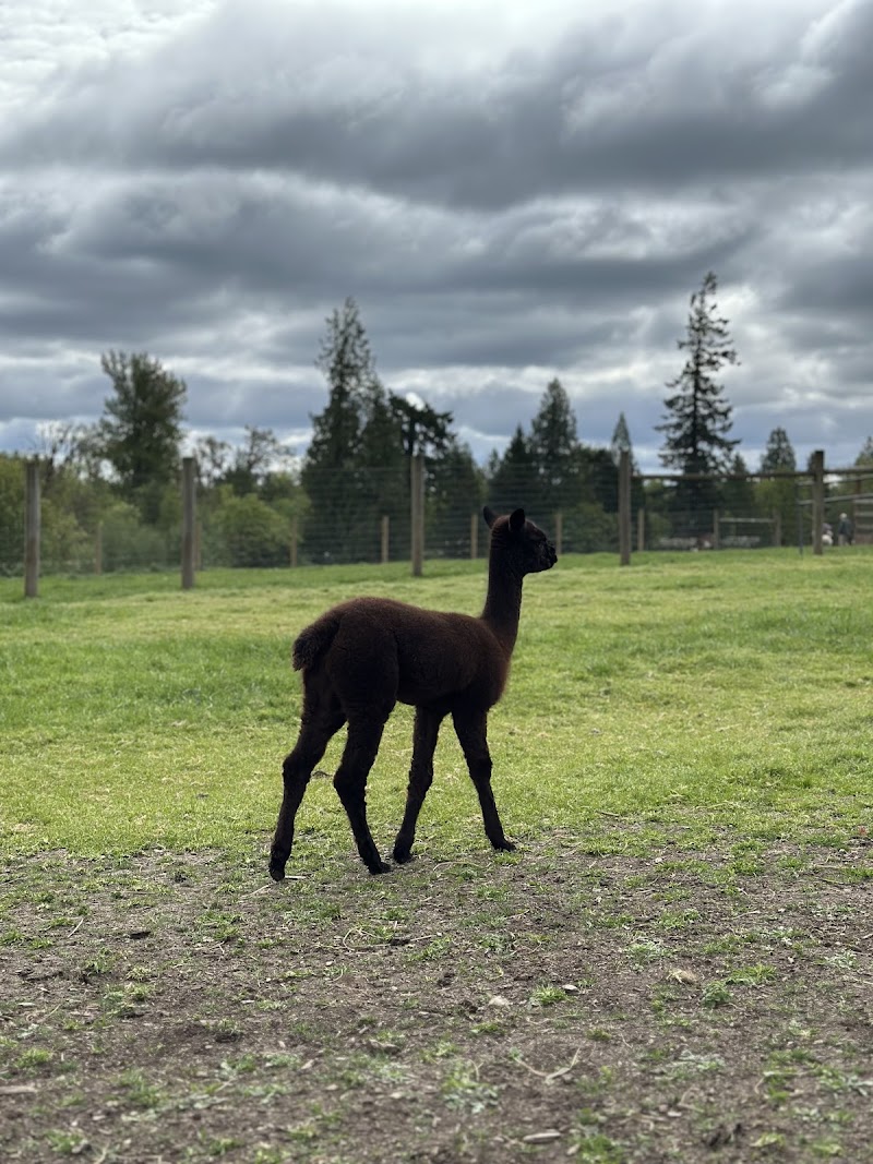 Triskelee Farm - Photo 4