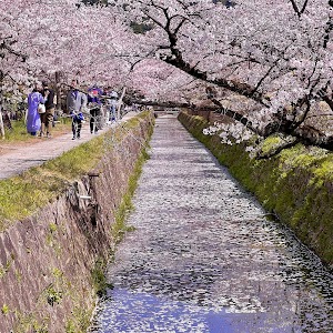 Philosopher's Path (Tetsugaku no Michi)