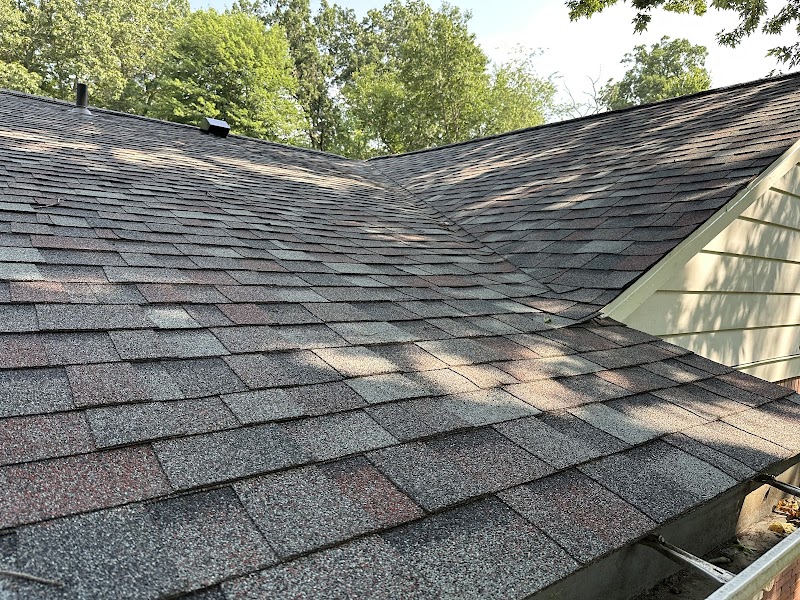 Salgau Roofing photo 3