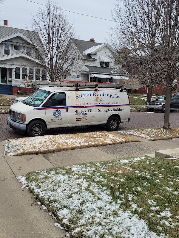 Salgau Roofing photo 4