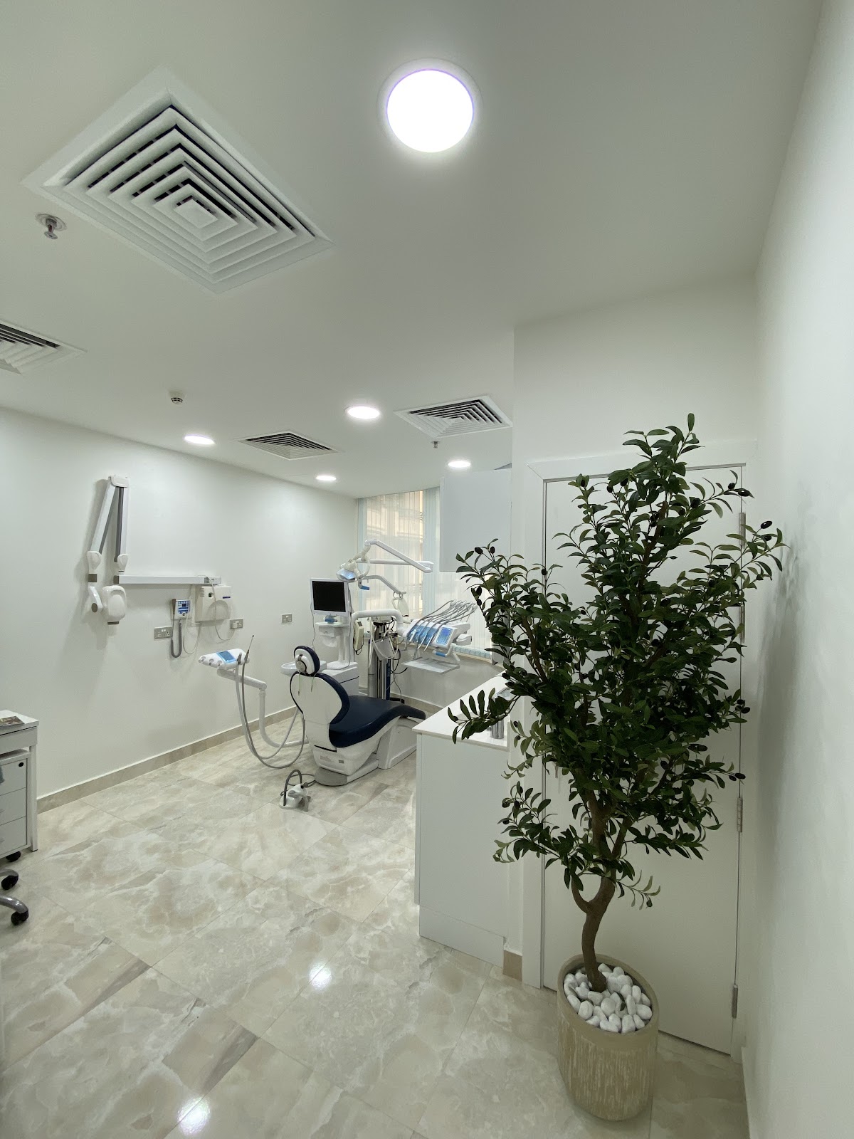 LMC Laser Medical Center 2