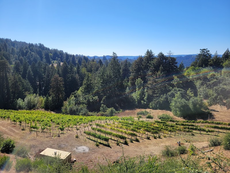 Interactive wine blending and outdoor games