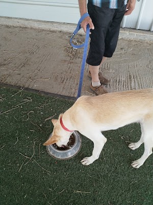 ״חוות החיות של סופי״ - Soffi's Animal Farm