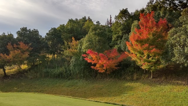 Hanayoshino Country Club - Photo 6
