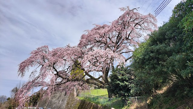 Hanayoshino Country Club - Photo 9
