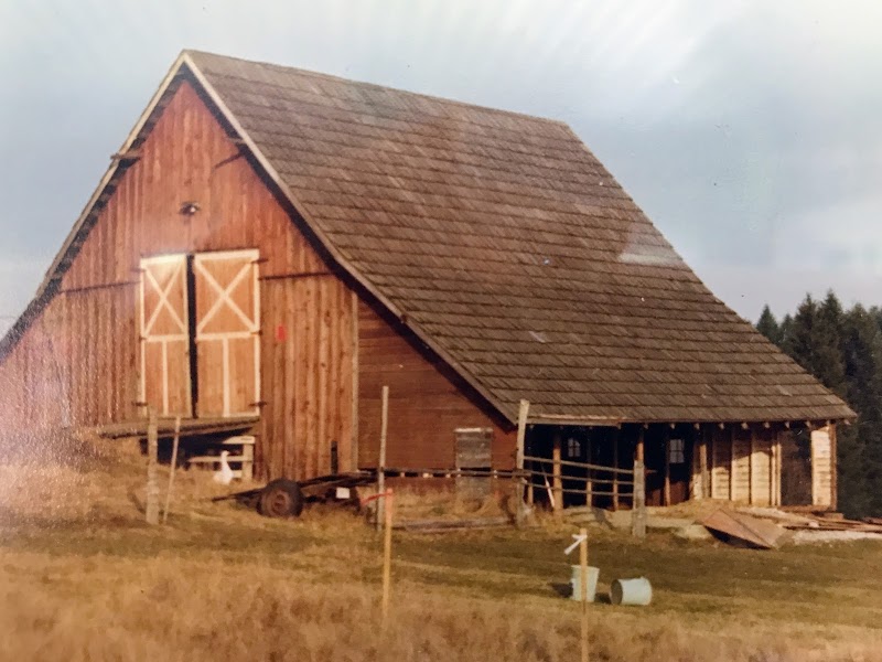 Stokes Auction photo