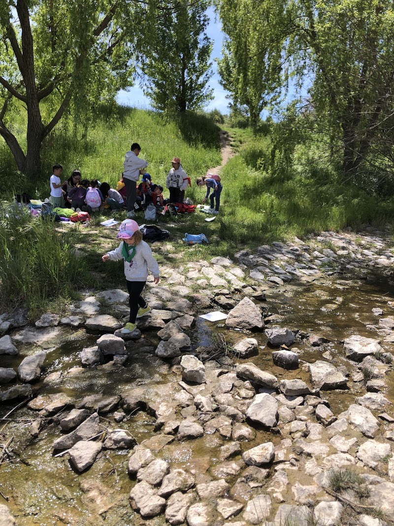 Club Natura Valdebebas