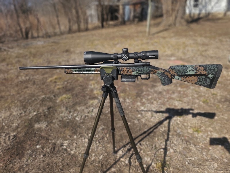 Locked & Loaded photo
