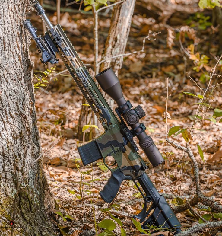 Locked & Loaded photo