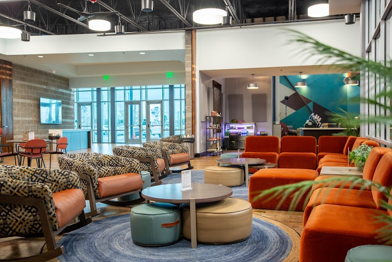 The Drip Coffee Co. photo 4