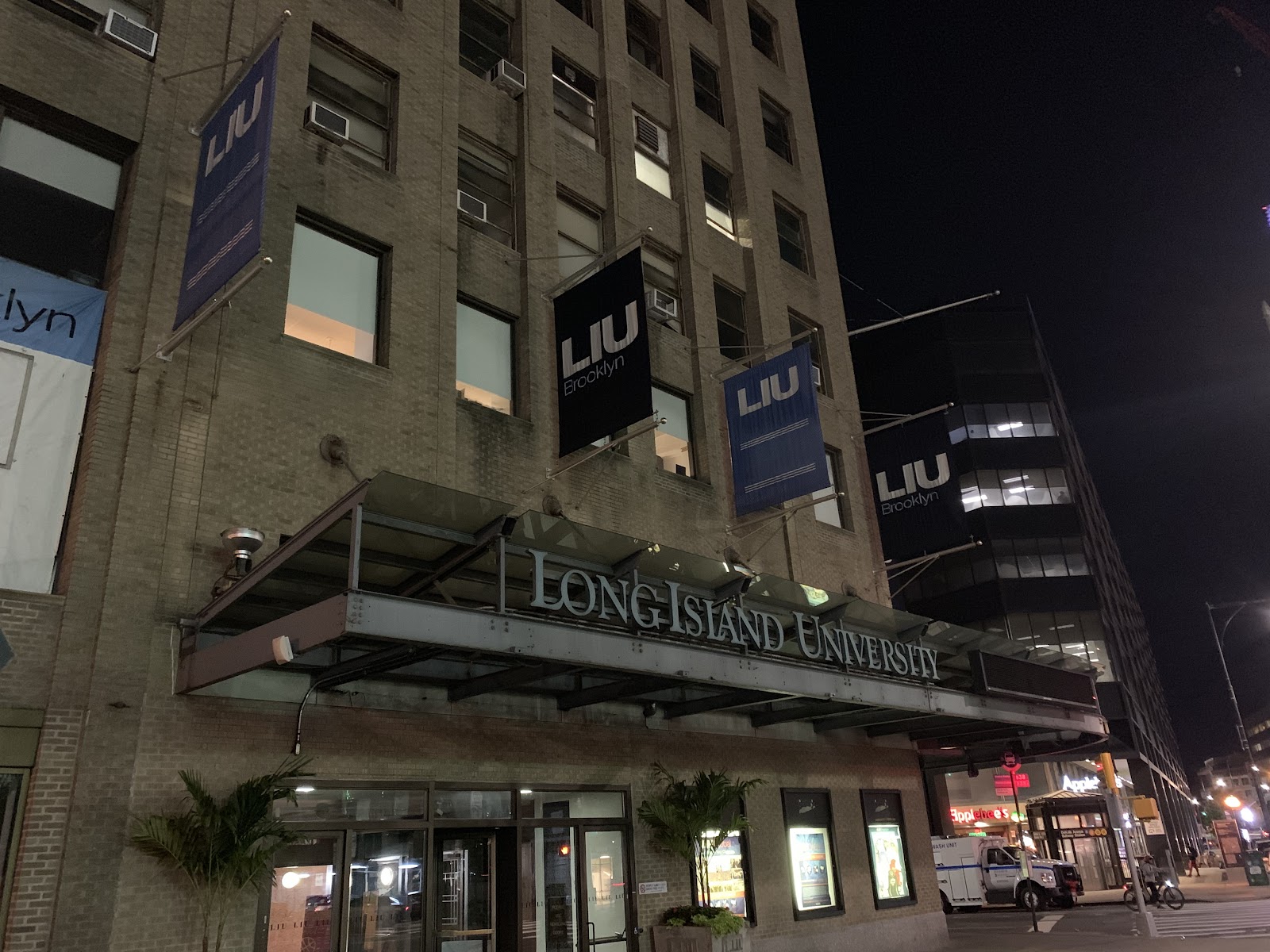 ロングアイランド大学（Long Island University）（Brookville、ニューヨーク州）