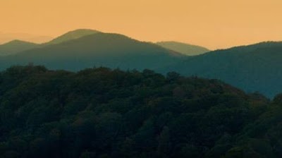 Hartsoe Law Firm Personal Injury Lawyers - Car accident lawyer in Knoxville