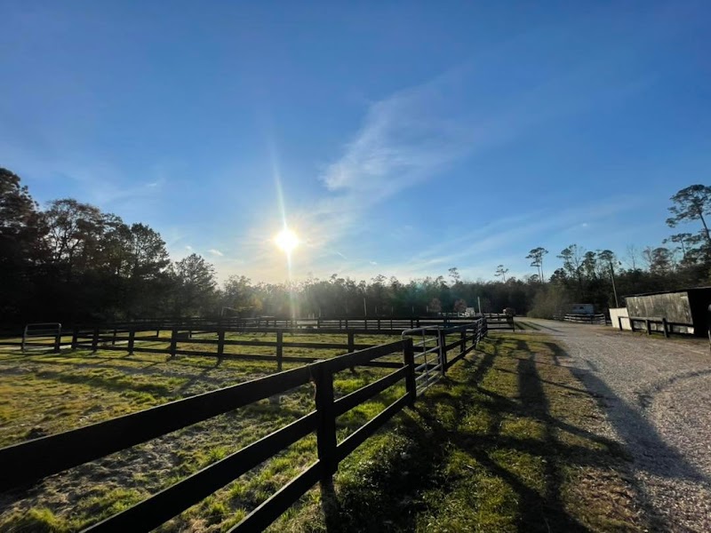 Splendor Farms - Photo 4