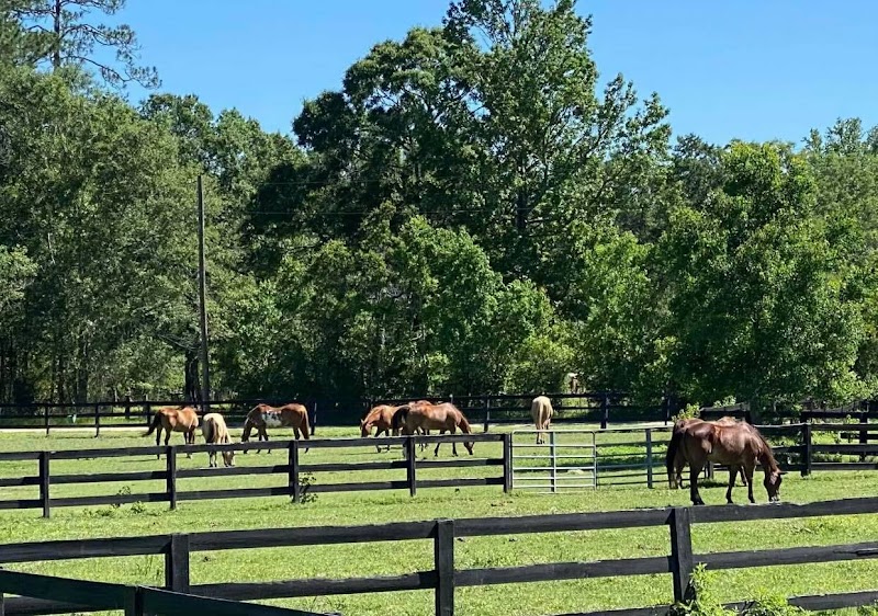 Splendor Farms - Photo 3