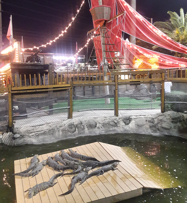 Smugglers Cove Adventure Golf — Miniature Golf Course in Bradenton