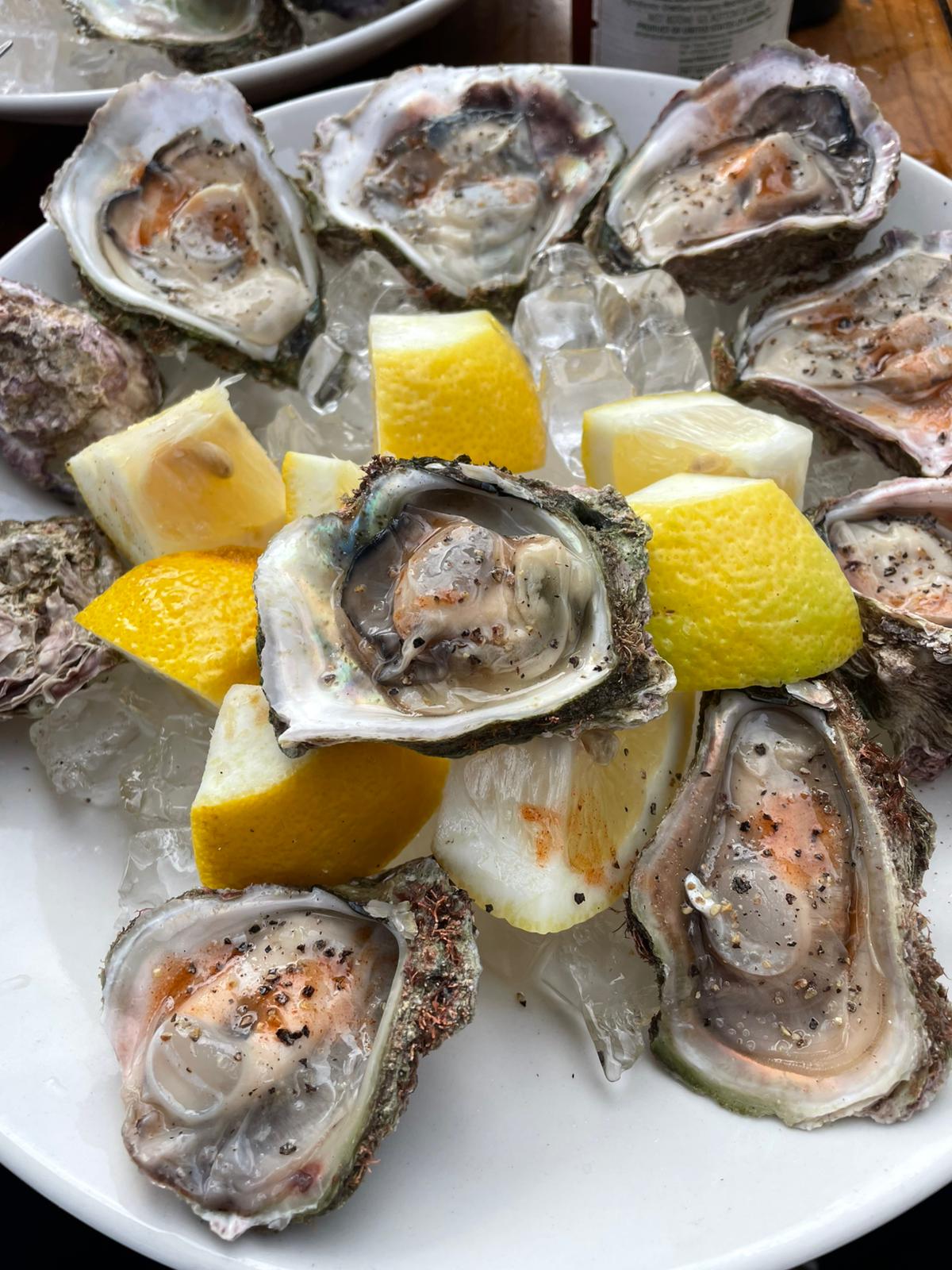 Oyster Bar — photo 3