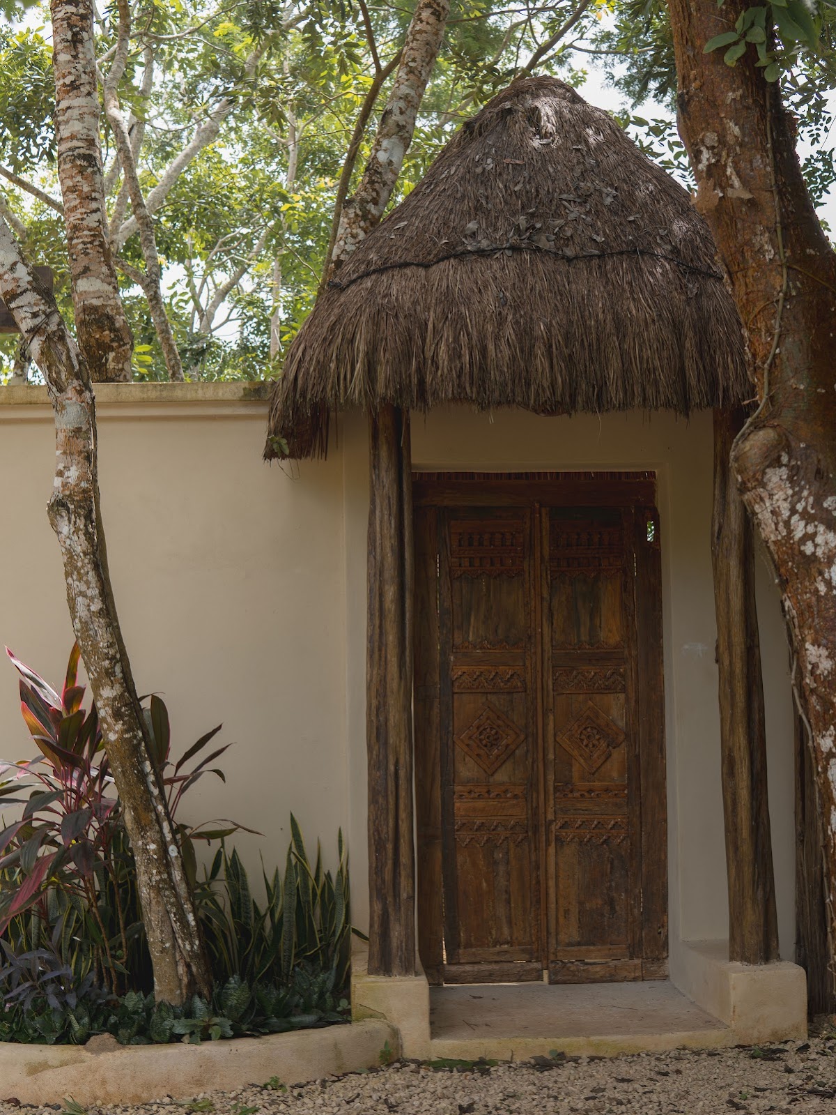 Padma Ha Bacalar