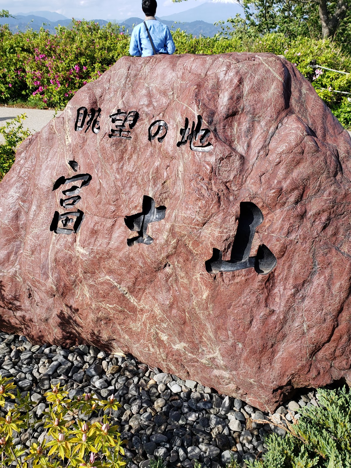 Nihondaira Ropeway photo