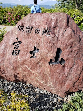 Nihondaira Ropeway photo