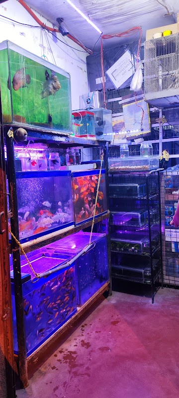 Cody's Aquarium Creatures Supplies & General Merchandise