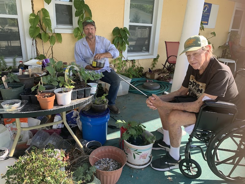 Sunrise Gardens Of Dunedin LLC