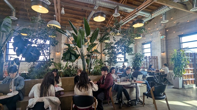 La Bosco Bakery & Cafe photo 4