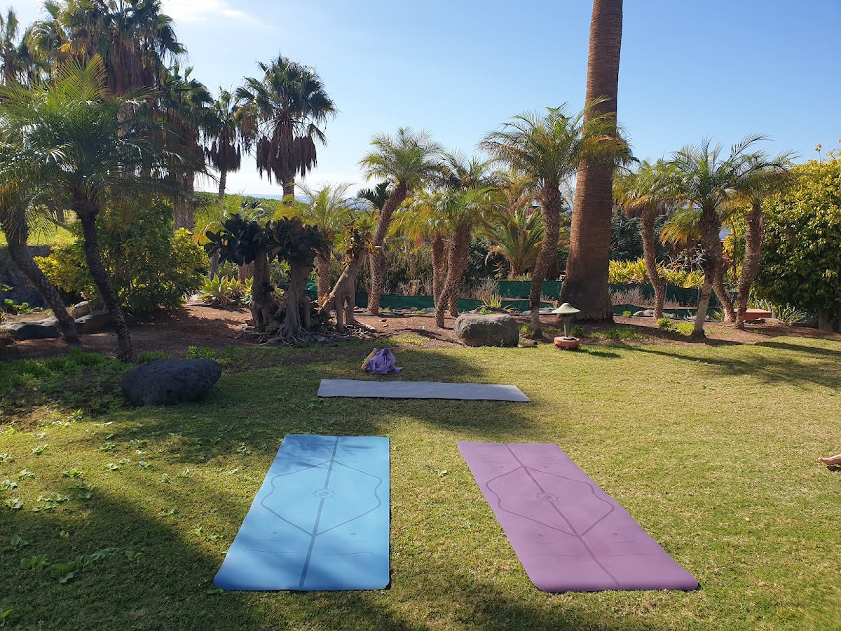 Yoga Vibe Tenerife — 4