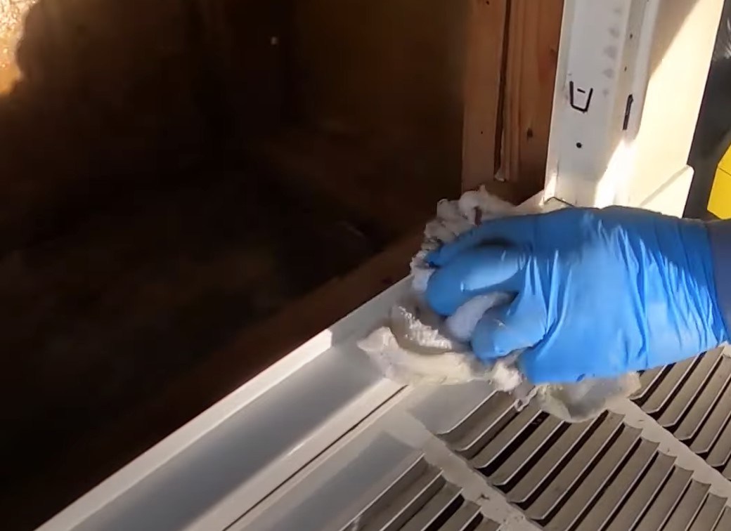 VA Beach Hero Mold Removal — photo