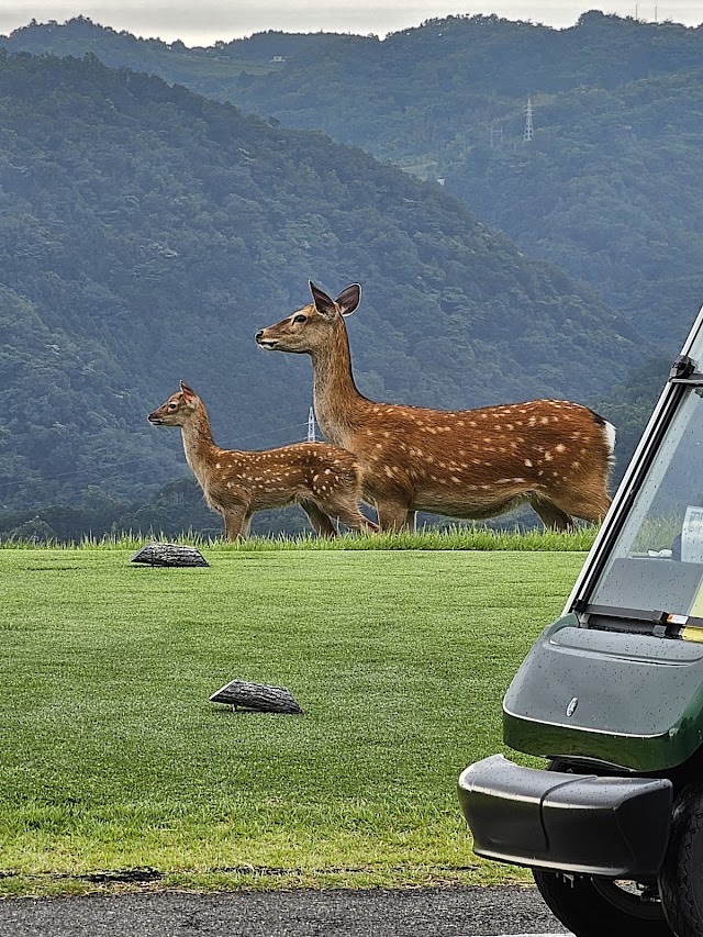 Pacific Club Sagami Course - Photo 5
