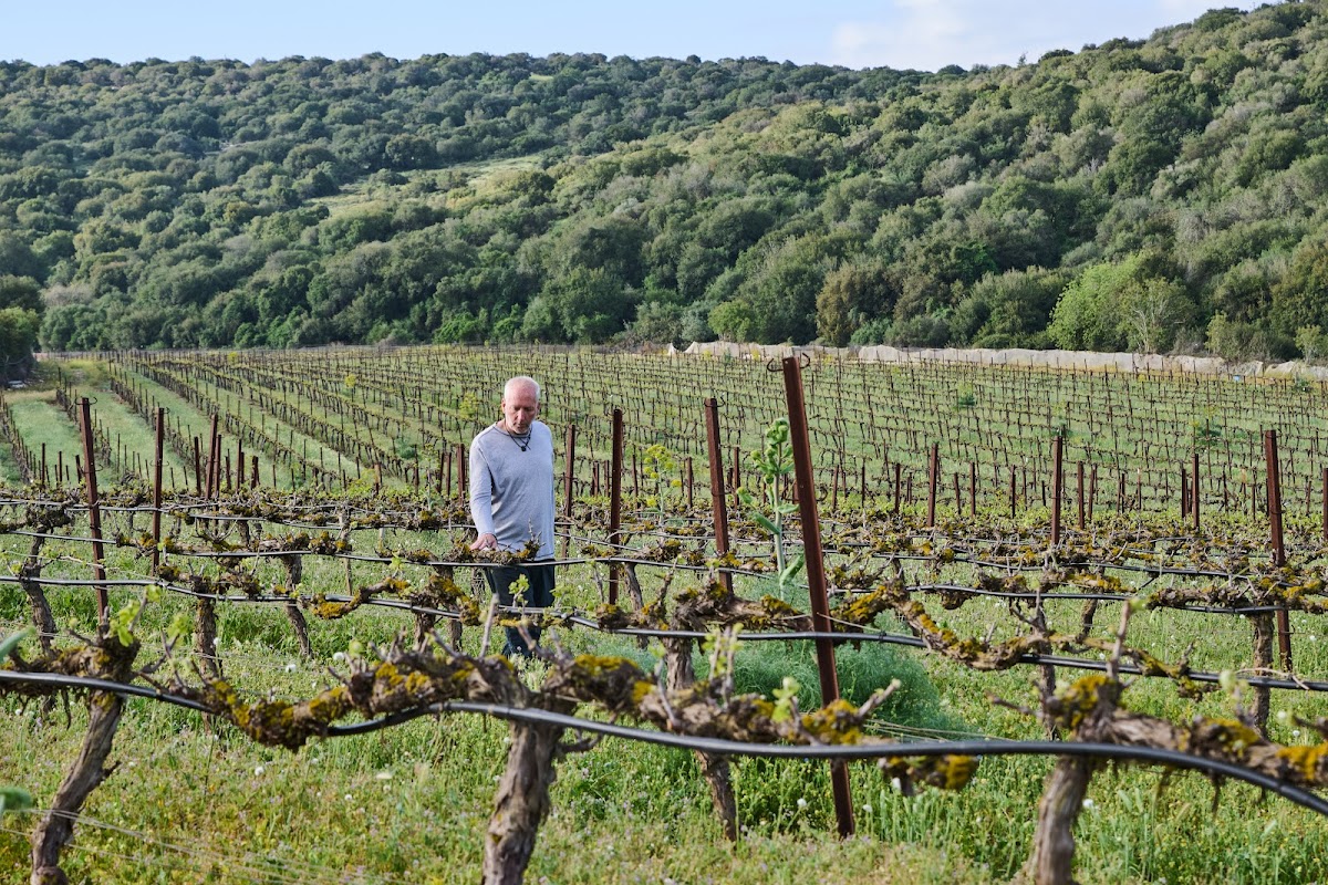 Sphera Winery
